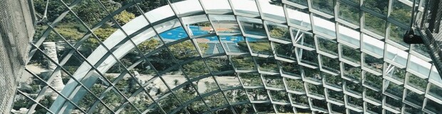 Benefits Of A Green Roof